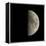 First Quarter Moon-Eckhard Slawik-Framed Premier Image Canvas