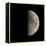 First Quarter Moon-Eckhard Slawik-Framed Premier Image Canvas