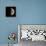 First Quarter Moon-Eckhard Slawik-Framed Premier Image Canvas displayed on a wall
