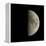 First Quarter Moon-Eckhard Slawik-Framed Premier Image Canvas