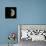 First Quarter Moon-Eckhard Slawik-Premium Photographic Print displayed on a wall