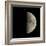 First Quarter Moon-Eckhard Slawik-Framed Premium Photographic Print