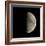 First Quarter Moon-Eckhard Slawik-Framed Premium Photographic Print