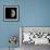 First Quarter Moon-Eckhard Slawik-Framed Premium Photographic Print displayed on a wall