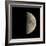 First Quarter Moon-Eckhard Slawik-Framed Premium Photographic Print