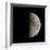 First Quarter Moon-Eckhard Slawik-Framed Premium Photographic Print