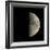 First Quarter Moon-Eckhard Slawik-Framed Premium Photographic Print