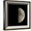 First Quarter Moon-Eckhard Slawik-Framed Premium Photographic Print