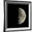 First Quarter Moon-Eckhard Slawik-Framed Photographic Print