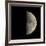 First Quarter Moon-Eckhard Slawik-Framed Photographic Print