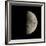 First Quarter Moon-Eckhard Slawik-Framed Photographic Print