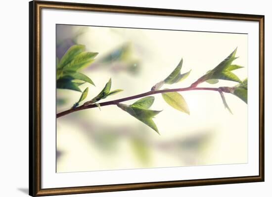 First Sign-Andreas Stridsberg-Framed Giclee Print