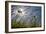 First Signs of Summer-Adrian Campfield-Framed Photographic Print