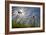 First Signs of Summer-Adrian Campfield-Framed Photographic Print