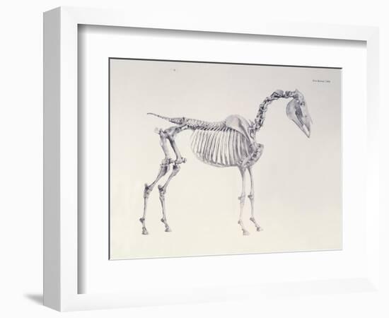 First Skeleton Table, from 'The Anatomy of the Horse'-George Stubbs-Framed Giclee Print