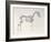 First Skeleton Table, from 'The Anatomy of the Horse'-George Stubbs-Framed Giclee Print