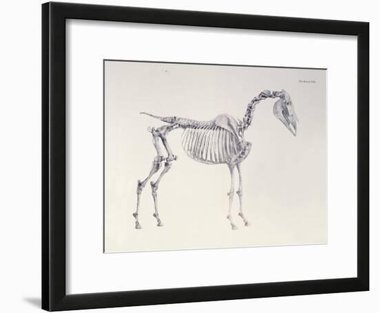 First Skeleton Table, from 'The Anatomy of the Horse'-George Stubbs-Framed Giclee Print