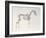 First Skeleton Table, from 'The Anatomy of the Horse'-George Stubbs-Framed Giclee Print