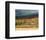 First Snow Storm Of The Season-null-Framed Art Print