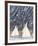 First Snow-Kevin Red Star-Framed Collectable Print