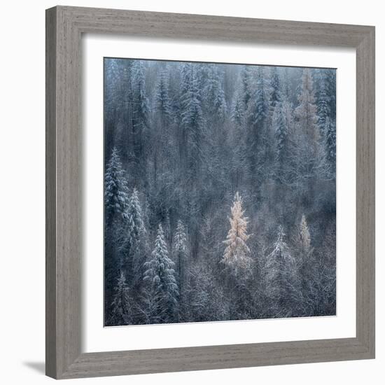 First Snow-Ursula Abresch-Framed Photographic Print