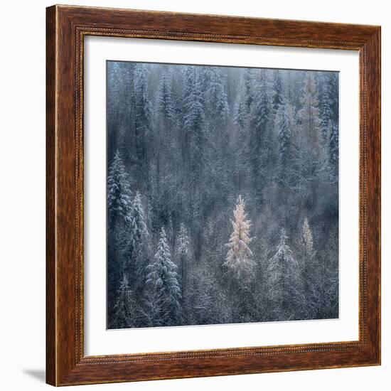 First Snow-Ursula Abresch-Framed Photographic Print