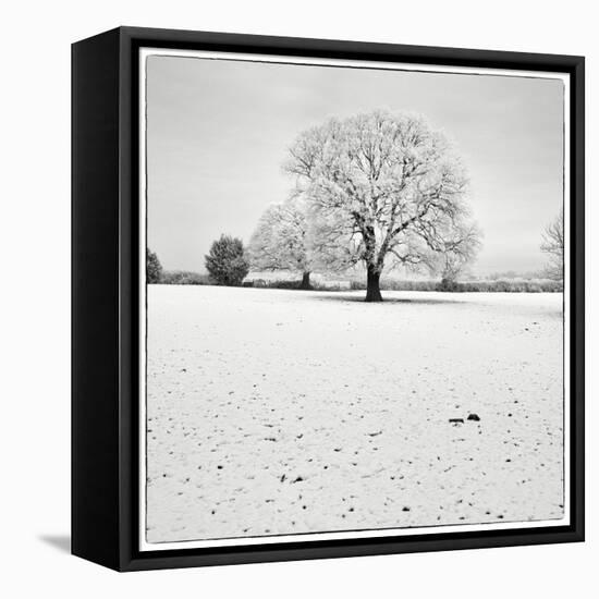 First Snow-Craig Roberts-Framed Premier Image Canvas