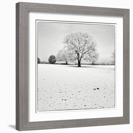 First Snow-Craig Roberts-Framed Photographic Print