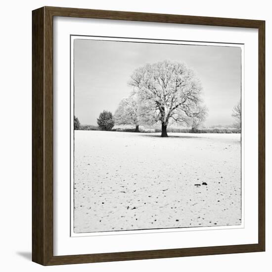 First Snow-Craig Roberts-Framed Photographic Print