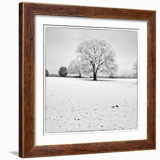 First Snow-Craig Roberts-Framed Photographic Print