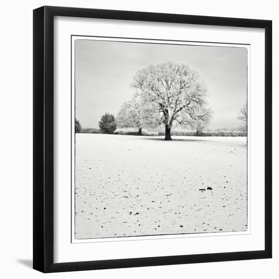 First Snow-Craig Roberts-Framed Photographic Print