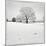 First Snow-Craig Roberts-Mounted Photographic Print