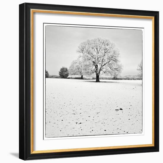 First Snow-Craig Roberts-Framed Photographic Print