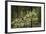 First Snowfall YNP-Galloimages Online-Framed Photographic Print