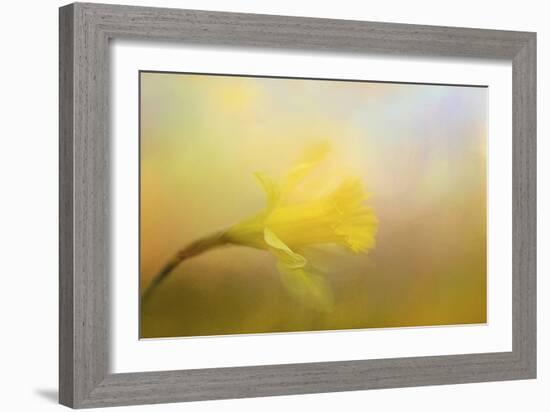 First Spring Bloom-Jai Johnson-Framed Giclee Print