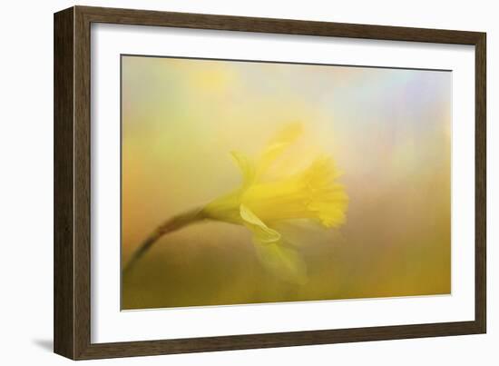 First Spring Bloom-Jai Johnson-Framed Giclee Print