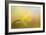 First Spring Bloom-Jai Johnson-Framed Giclee Print