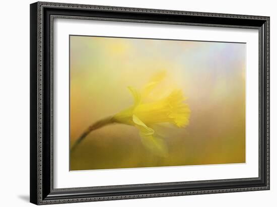 First Spring Bloom-Jai Johnson-Framed Giclee Print