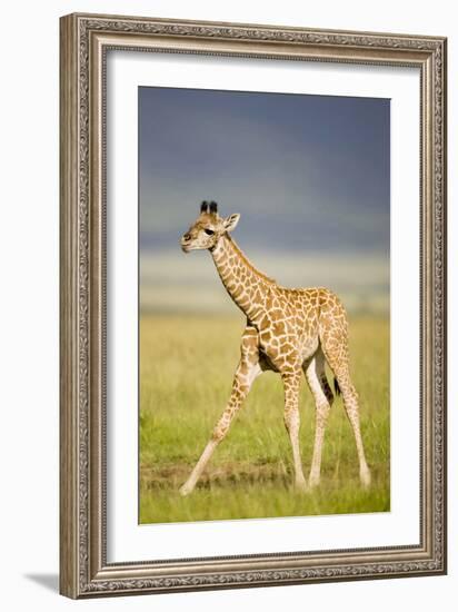 First Steps-Susann Parker-Framed Photographic Print