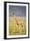 First Steps-Susann Parker-Framed Photographic Print