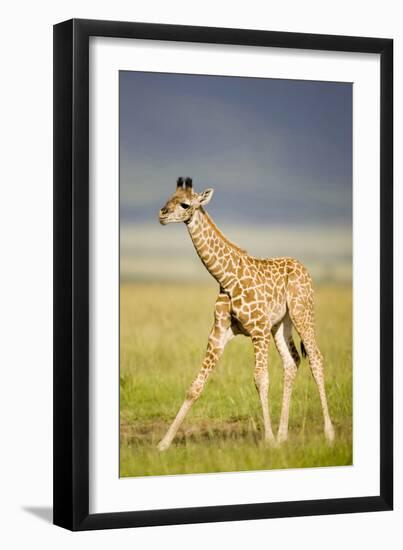 First Steps-Susann Parker-Framed Photographic Print