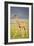 First Steps-Susann Parker-Framed Photographic Print