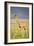 First Steps-Susann Parker-Framed Photographic Print