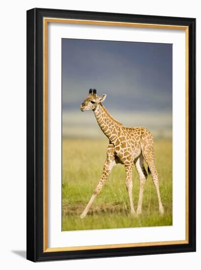 First Steps-Susann Parker-Framed Photographic Print