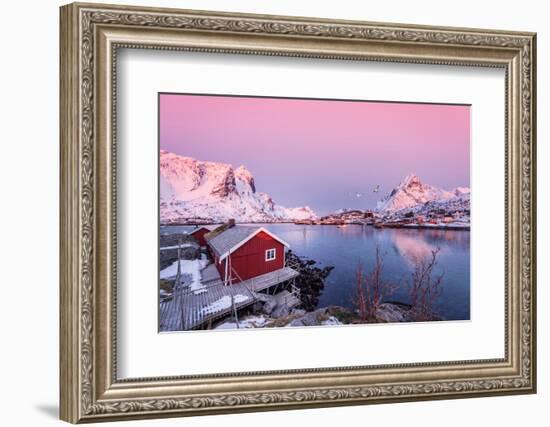 First Take-Philippe Sainte-Laudy-Framed Photographic Print