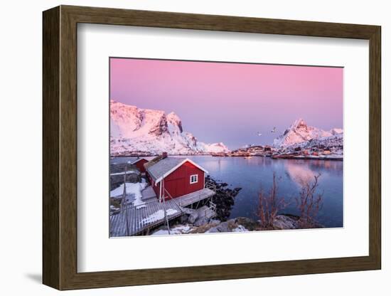 First Take-Philippe Sainte-Laudy-Framed Photographic Print