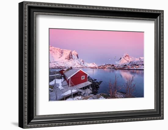 First Take-Philippe Sainte-Laudy-Framed Photographic Print