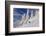 First Tracks on Evans Heaven on Sunny Powder Morning at Whitefish Mountain Resort, Montana-Chuck Haney-Framed Photographic Print