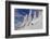 First Tracks on Evans Heaven on Sunny Powder Morning at Whitefish Mountain Resort, Montana-Chuck Haney-Framed Photographic Print