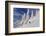 First Tracks on Evans Heaven on Sunny Powder Morning at Whitefish Mountain Resort, Montana-Chuck Haney-Framed Photographic Print
